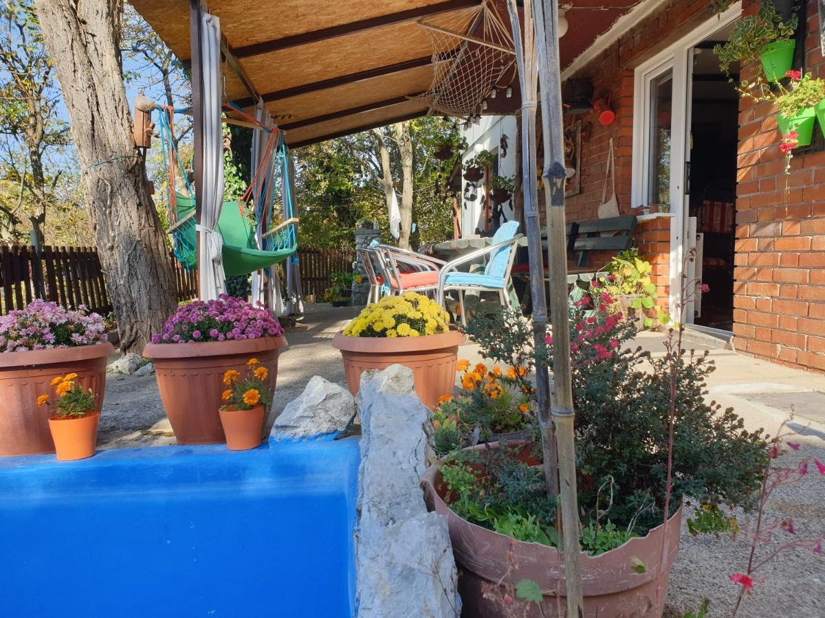 Vila Lena Meduvrsje Bagian luar foto